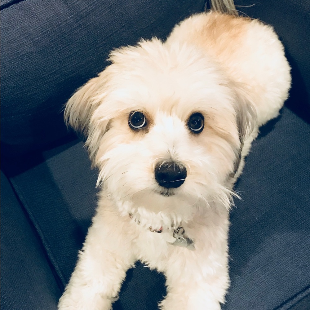 Meet your Posher, LA